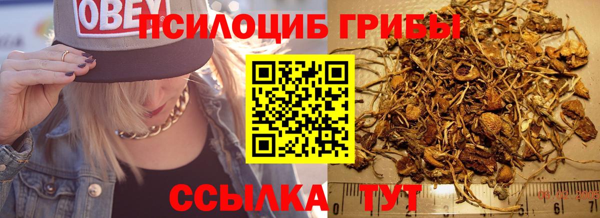 Псилоцибиновые грибы Psilocybine cubensis  Вход с VPN  Нурлат 